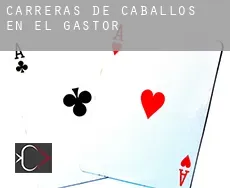 Carreras de caballos en  El Gastor