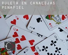 Ruleta en Canalejas de Peñafiel