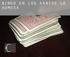 Bingo en  Los Santos de la Humosa