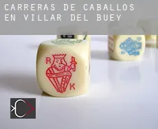 Carreras de caballos en  Villar del Buey