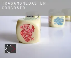 Tragamonedas en Congosto