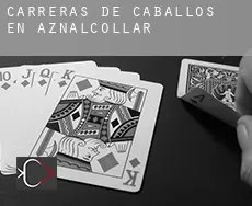 Carreras de caballos en Aznalcóllar