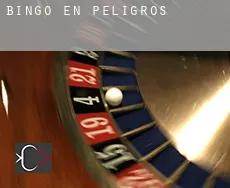 Bingo en  Peligros