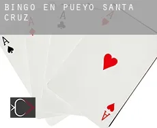 Bingo en  Pueyo de Santa Cruz