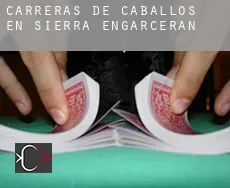 Carreras de caballos en Sierra-Engarcerán