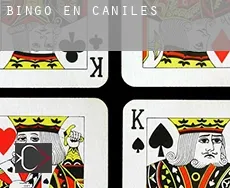 Bingo en  Caniles