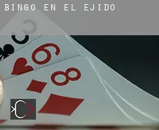 Bingo en  El Ejido