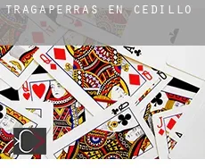 Tragaperras en Cedillo