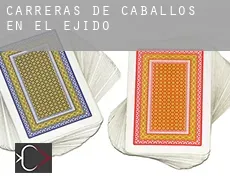 Carreras de caballos en  El Ejido