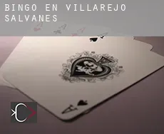 Bingo en Villarejo de Salvanés