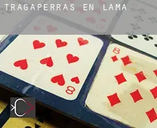 Tragaperras en Lama