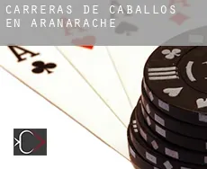 Carreras de caballos en Aranarache