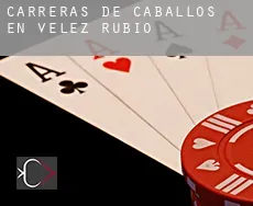 Carreras de caballos en  Velez Rubio