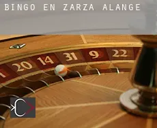 Bingo en  Zarza de Alange