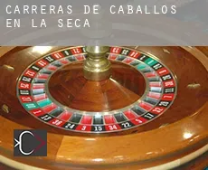 Carreras de caballos en  La Seca