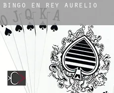 Bingo en San Martín del Rey Aurelio