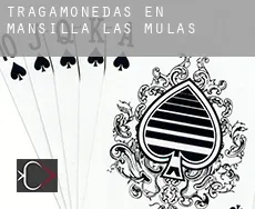 Tragamonedas en Mansilla de las Mulas