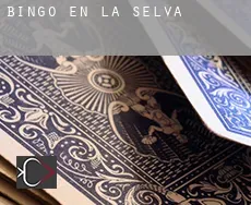 Bingo en La Selva