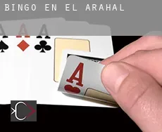 Bingo en  El Arahal