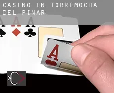 Casino en  Torremocha del Pinar