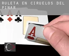 Ruleta en Ciruelos del Pinar