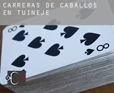 Carreras de caballos en  Tuineje