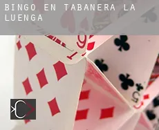 Bingo en Tabanera la Luenga
