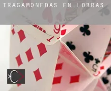Tragamonedas en Lobras