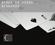 Bingo en Pedro Bernardo